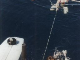 Törn 1997